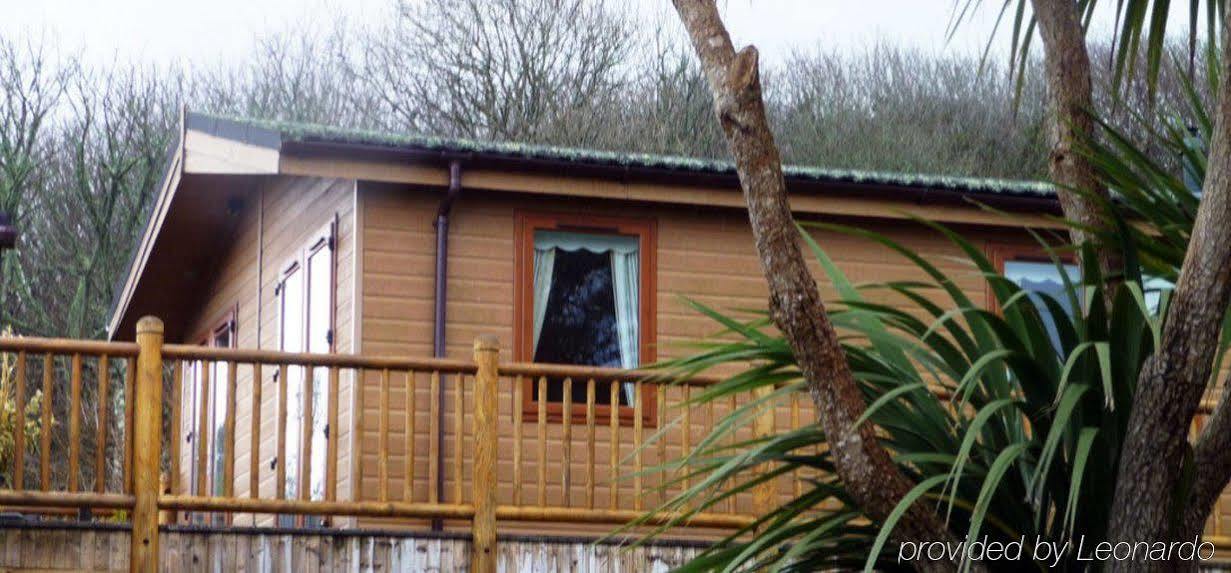 Chy-An-Albany Hotel St Ives Exterior foto